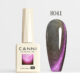 8041 Cat eye Gel polish CANNI®