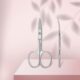 4d4ba797-b3aa-11ef-ae25-9829a63e6857_85fdcae5-cda3-11ef-bf5e-8cc8cd9bb09d SC-62/2 STALEKS CLASSIC Nail Scissors