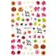 XF3371 Nail stickers