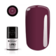 017 SoPRO Rich Color Hybrid Gel polish