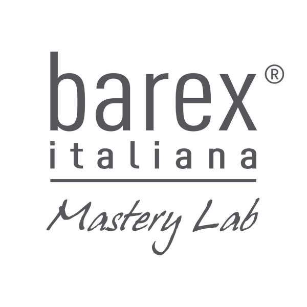 Barex Logo 1