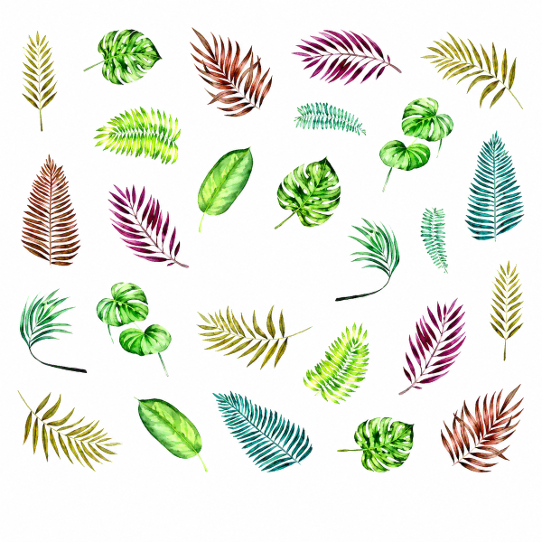 Water stickers