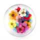 ND54 MIX small flowers Дизайн для ногтей с натуральными цветами
