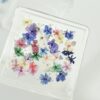 ND54 MIX very small Nail design with natural flowers