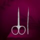 SX-21/2M STALEKS EXCLUSIVE Cuticle Scissors
