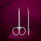 SX-22/1M STALEKS EXCLUSIVE Cuticle Scissors Ножницы для кутикулы
