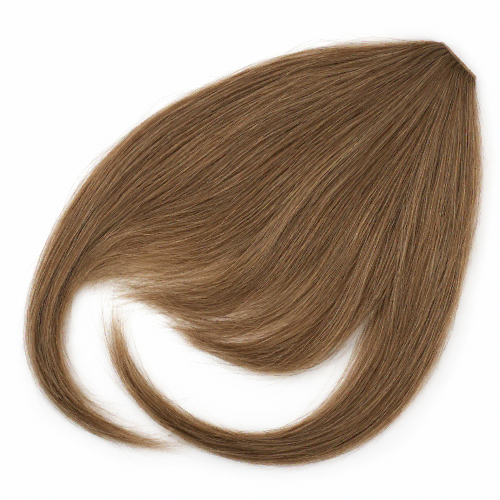 bangs clip in