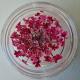 NA0007 FUCHSIA Nail design with natural flowers
