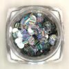 ND107 80 Holographic nail decor