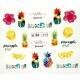 BN-1696 water Nail stickers