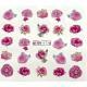 BN-1778 water Nail stickers
