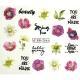 BN-2061 nail water stickers