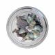 ND212 01 VIOLET pearl natural shell