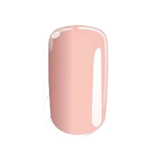 oie transparent 82
